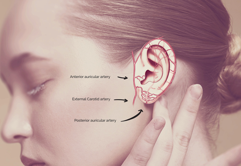 Your Ear's Hidden Powers: Health Monitoring Made Simple